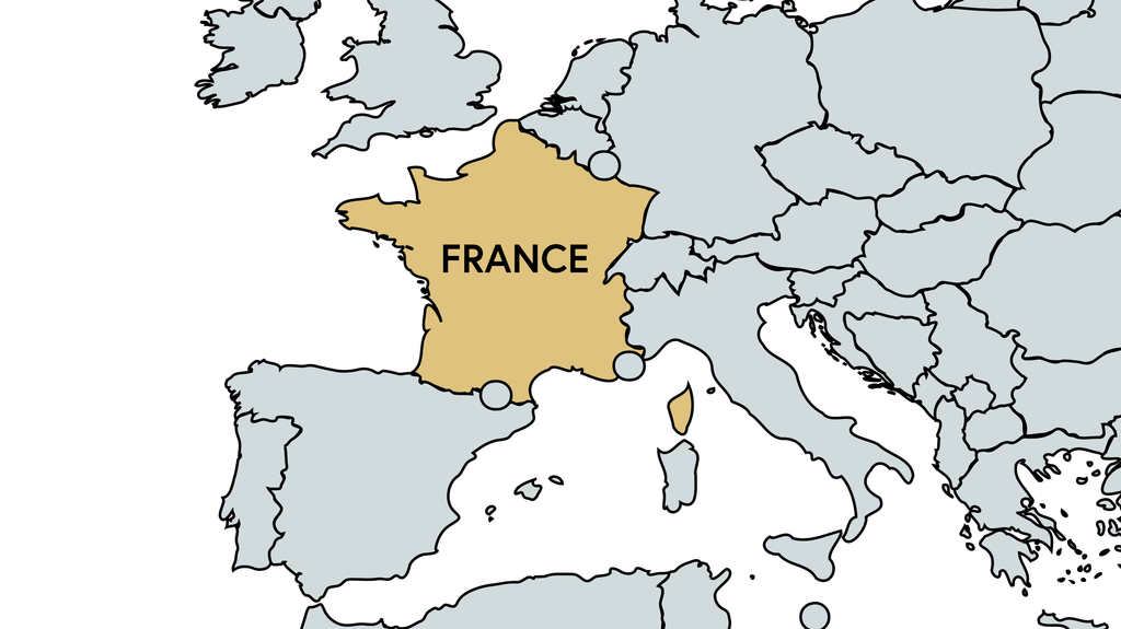 Risk Snapshot - France