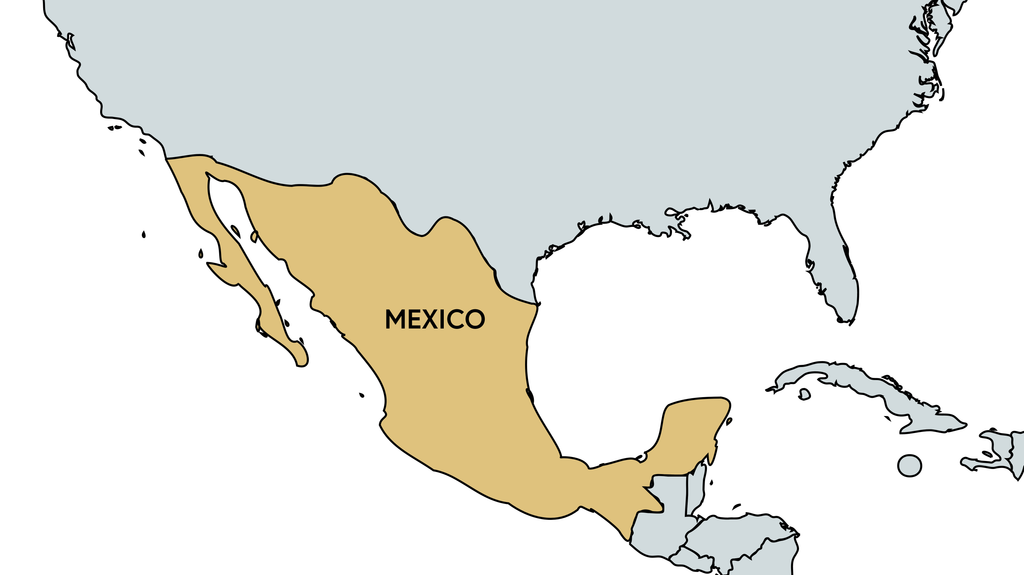 Risk Snapshot - Mexico