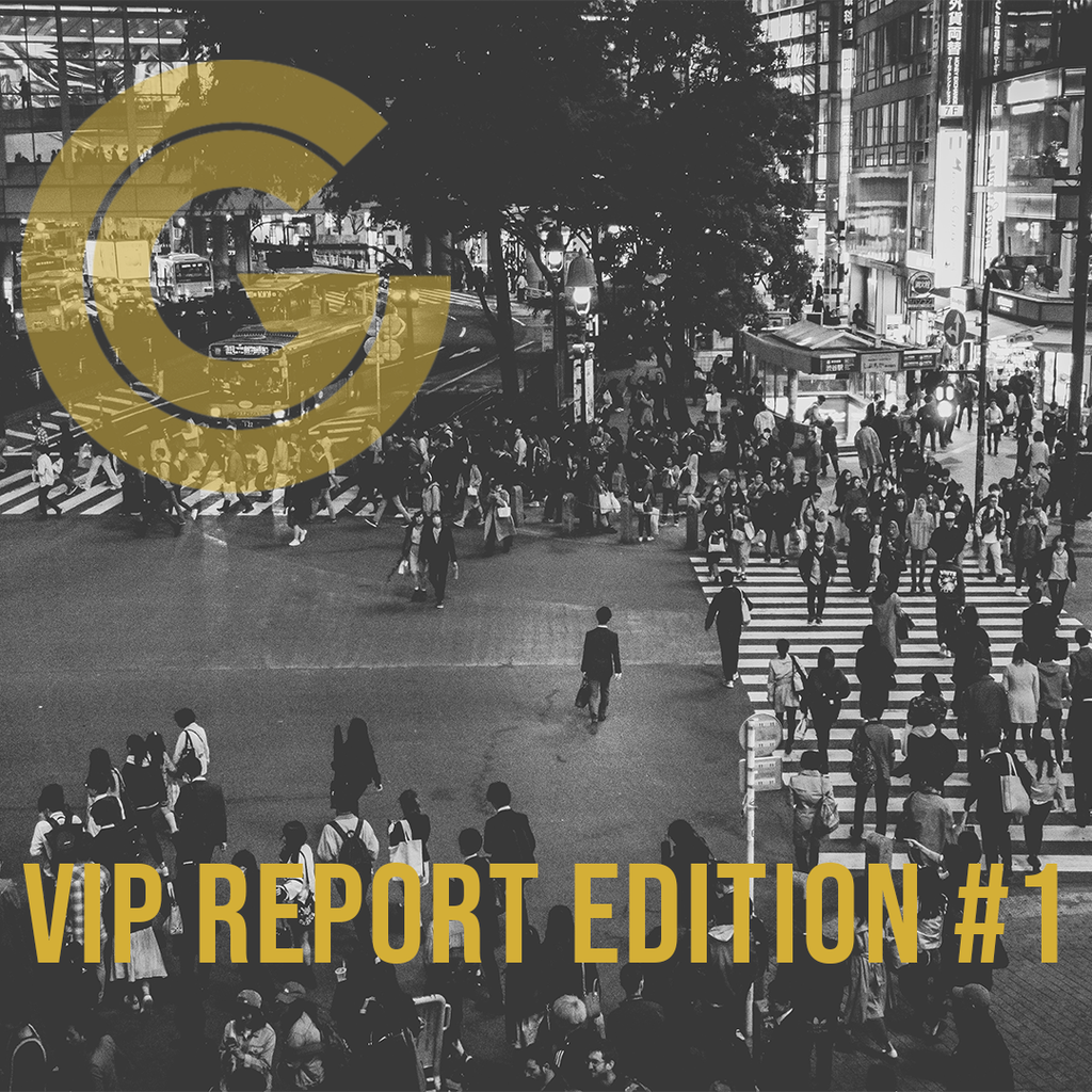 VIP Report Edition #1