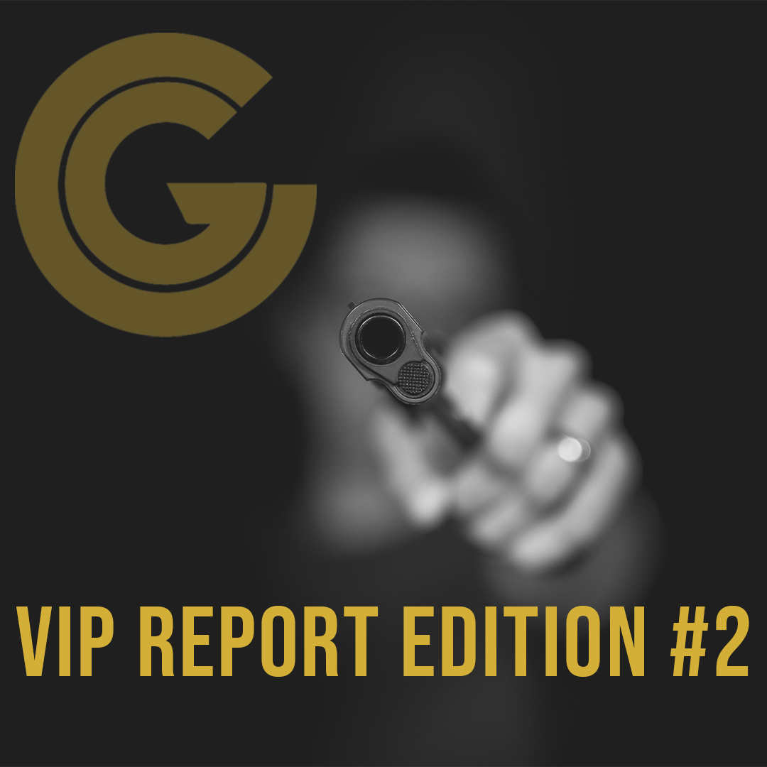 VIP Report Edition #2