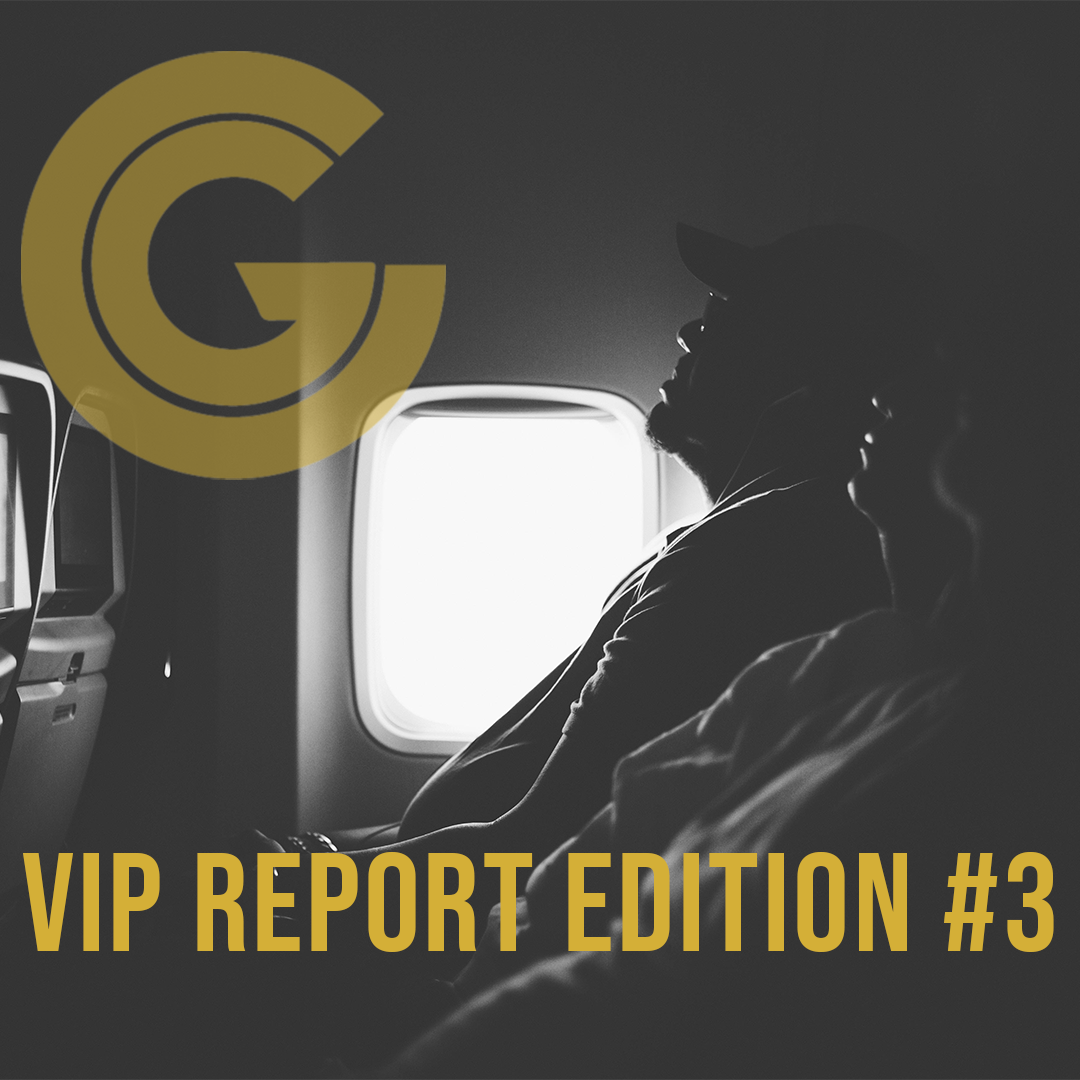 VIP Report Edition #3