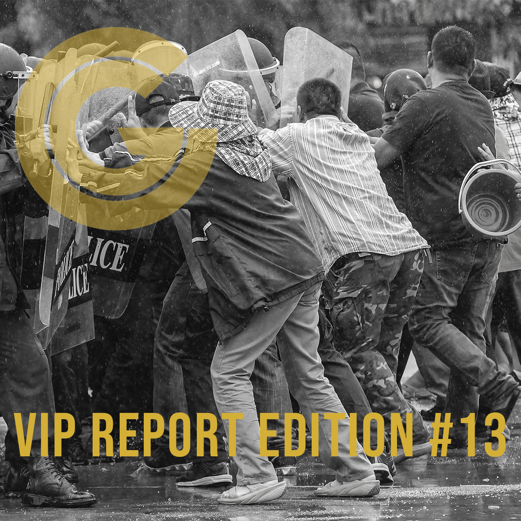 VIP Report Edition #13