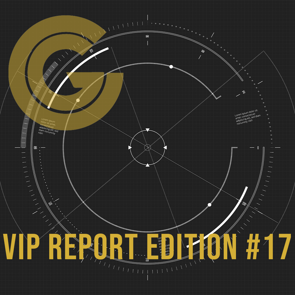 VIP Report Edition #17