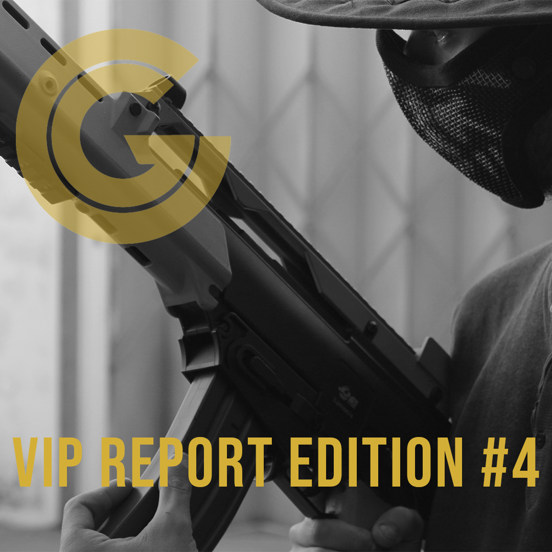 VIP Report Edition #4