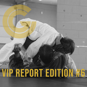 VIP Report Edition #6